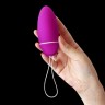 Инновационный вагинальный шарик с сенсорным датчиком Luna Smart Bead (LELO) (только доставка)
